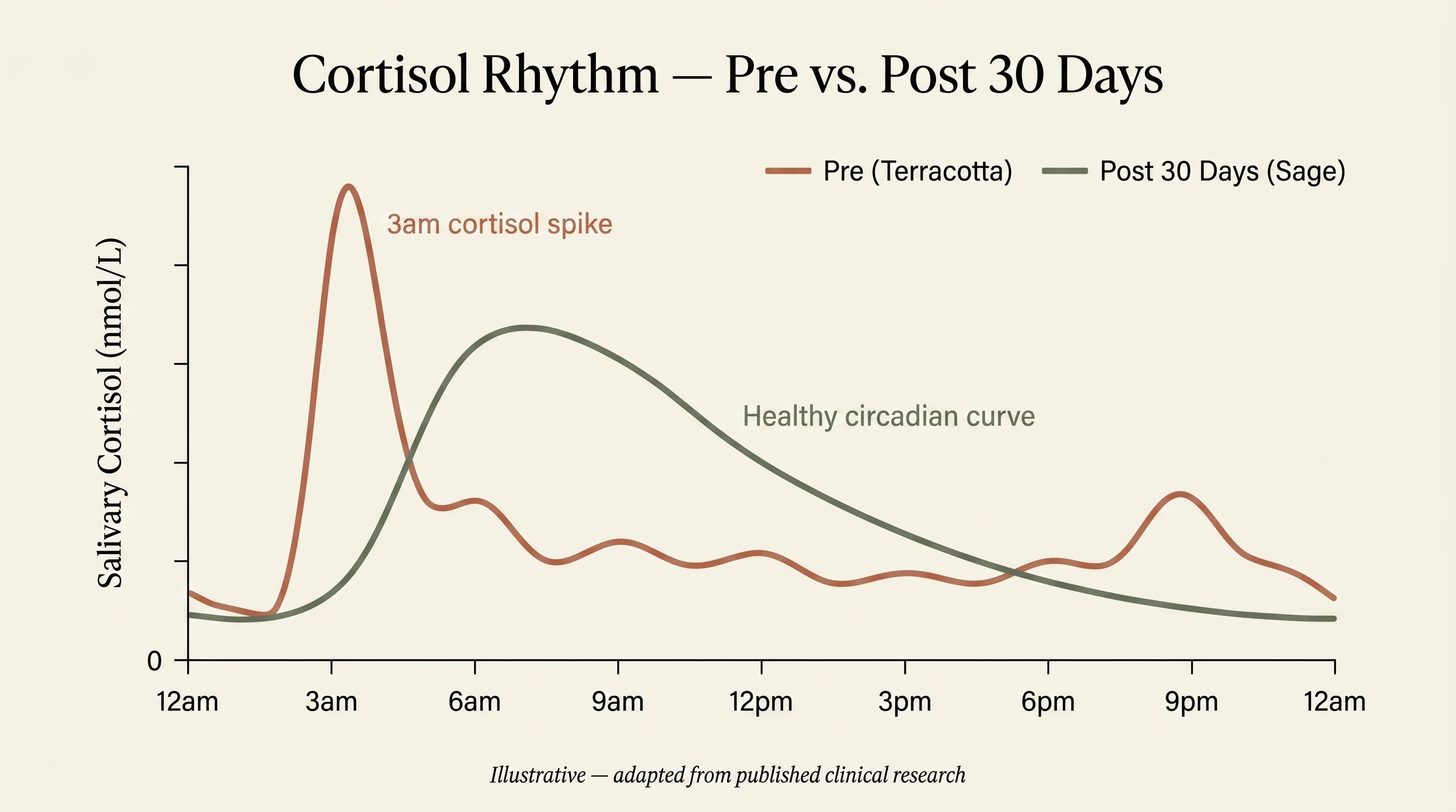 Chart comparing a pre-Withanly 3am cortisol spike against a healthy post-30-day circadian curve